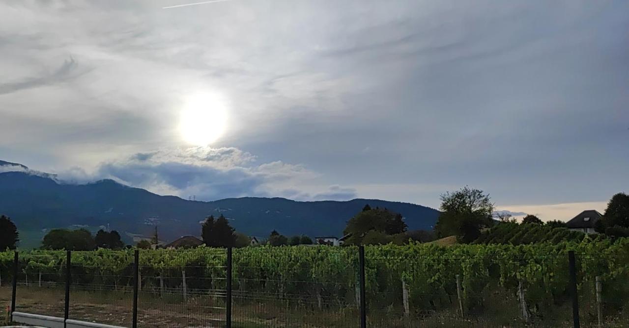 Chambre Au Coeur Des Vignes Myans Εξωτερικό φωτογραφία